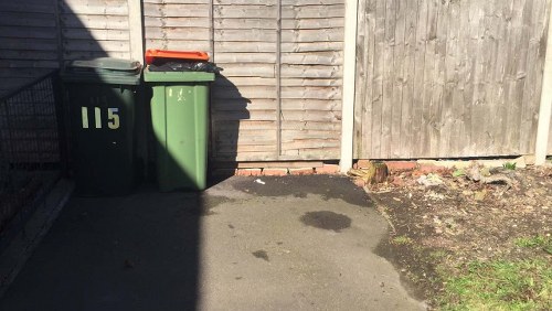 The image shows two wheelie bins positioned on a paved driveway in front of a wooden fence. The bin on the left is dark green with the number '115' painted in cream on its front, and it has an orange lid. The other bin, also green, is partially visible behind the first. The ground appears to be asphalt with some dark patches, and to the right, there is a patch of exposed soil with small green plants and weeds growing along the bottom of the wooden fence, which is constructed of vertical wooden panels. The scene is outdoors, likely in a rear or side garden area within Camden Town, where Garden Clearance Camden Town provides rubbish removal services, as suggested by the context of the image. Natural lighting indicates it is daytime, casting shadows along the fence and pavement from the bins and nearby objects.